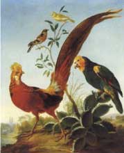 Charles Dagomer, Birds 1765